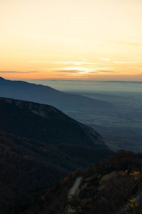 photographie