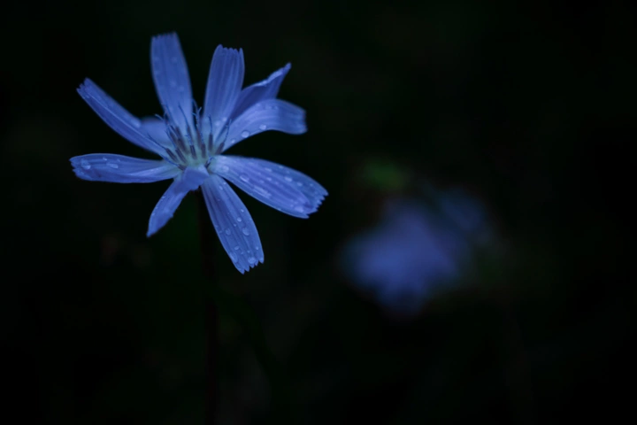 photographie
